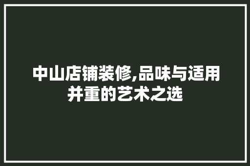 中山店铺装修,品味与适用并重的艺术之选 软装设计