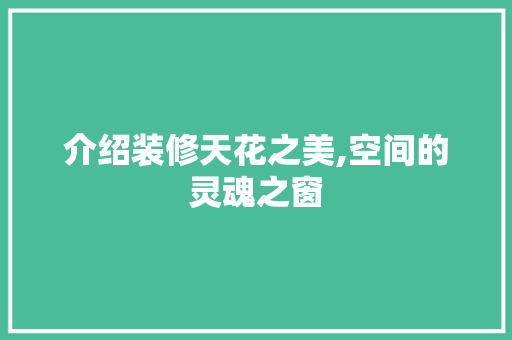 介绍装修天花之美,空间的灵魂之窗 现代风格装饰