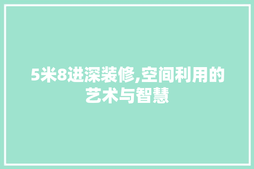 5米8进深装修,空间利用的艺术与智慧