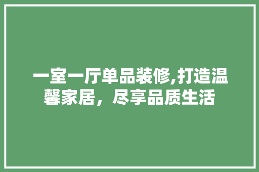 一室一厅单品装修,打造温馨家居，尽享品质生活 家居装修