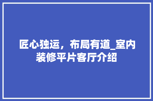 匠心独运，布局有道_室内装修平片客厅介绍 家居装修