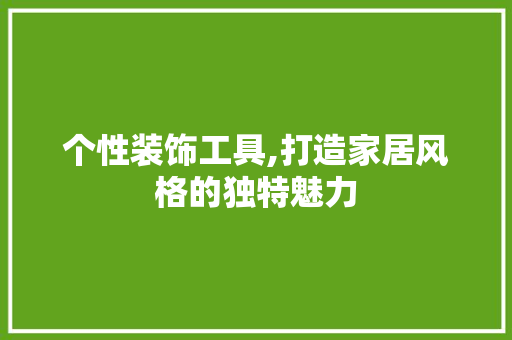 个性装饰工具,打造家居风格的独特魅力 中式风格装饰