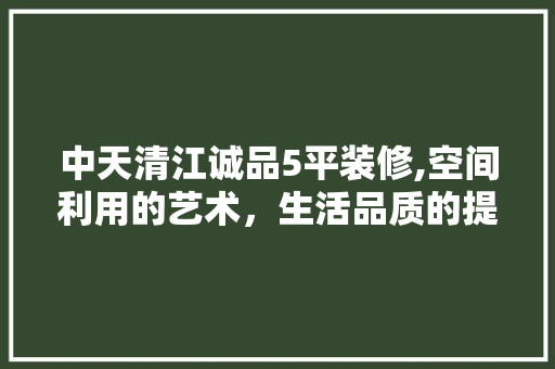 中天清江诚品5平装修,空间利用的艺术，生活品质的提升 室内设计