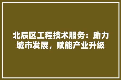 北辰区工程技术服务：助力城市发展，赋能产业升级 家居装修