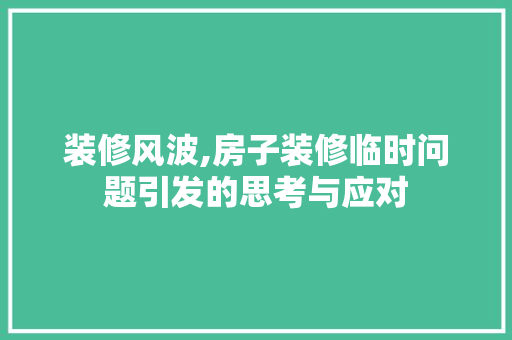 装修风波,房子装修临时问题引发的思考与应对 软装设计