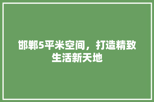 邯郸5平米空间，打造精致生活新天地 地板材料