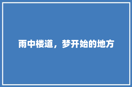 雨中楼道，梦开始的地方