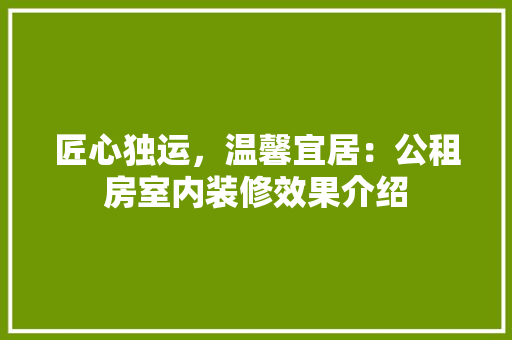 匠心独运，温馨宜居：公租房室内装修效果介绍