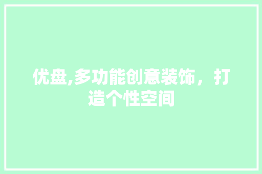优盘,多功能创意装饰，打造个性空间 软装设计