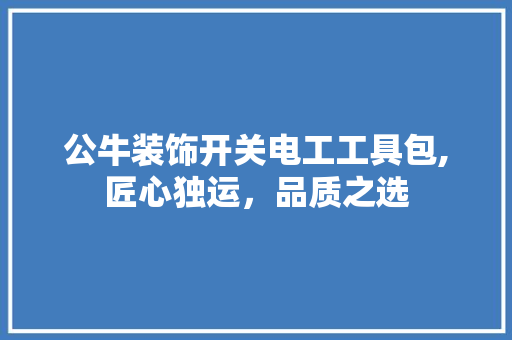 公牛装饰开关电工工具包,匠心独运，品质之选 中式风格装饰