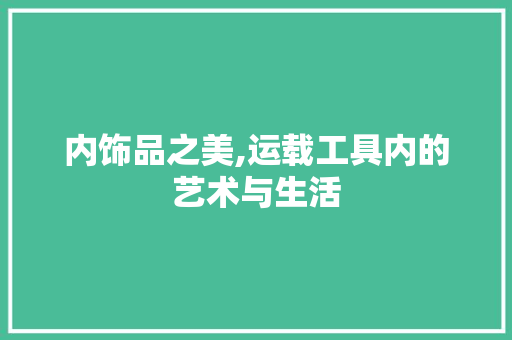 内饰品之美,运载工具内的艺术与生活 地板材料