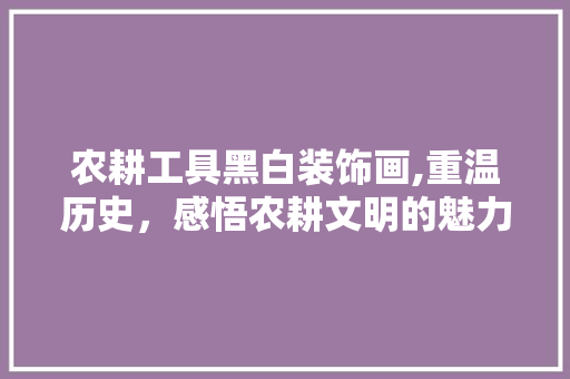 农耕工具黑白装饰画,重温历史，感悟农耕文明的魅力 家居装修