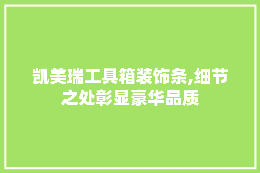 凯美瑞工具箱装饰条,细节之处彰显豪华品质 客厅装修