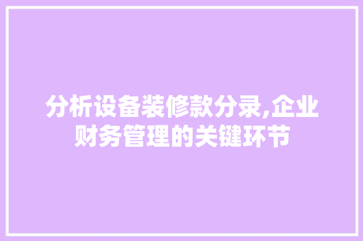 分析设备装修款分录,企业财务管理的关键环节 木雕艺术
