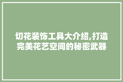 切花装饰工具大介绍,打造完美花艺空间的秘密武器 中式风格装饰