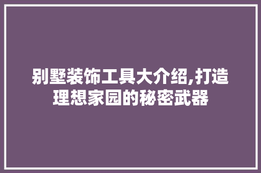 别墅装饰工具大介绍,打造理想家园的秘密武器 现代风格装饰