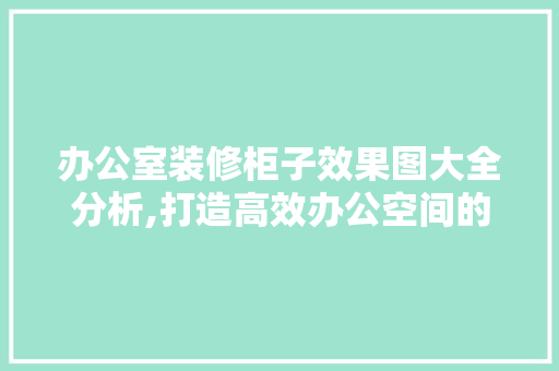办公室装修柜子效果图大全分析,打造高效办公空间的艺术与智慧 现代风格装饰