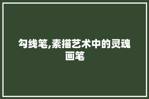 勾线笔,素描艺术中的灵魂画笔 地板材料