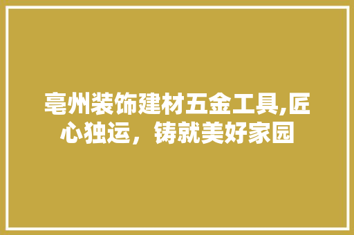 亳州装饰建材五金工具,匠心独运，铸就美好家园 现代风格装饰