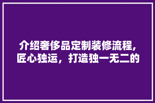 介绍奢侈品定制装修流程,匠心独运，打造独一无二的生活空间 室内设计