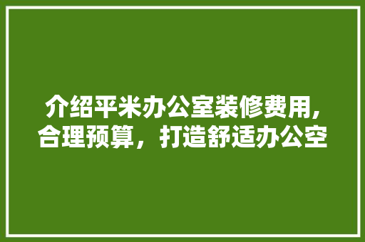 介绍平米办公室装修费用,合理预算，打造舒适办公空间 客厅装修