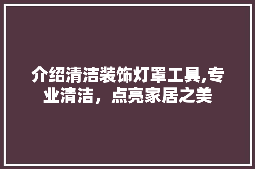 介绍清洁装饰灯罩工具,专业清洁，点亮家居之美