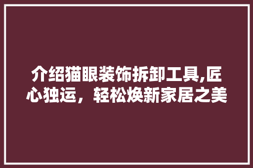介绍猫眼装饰拆卸工具,匠心独运，轻松焕新家居之美 客厅装修