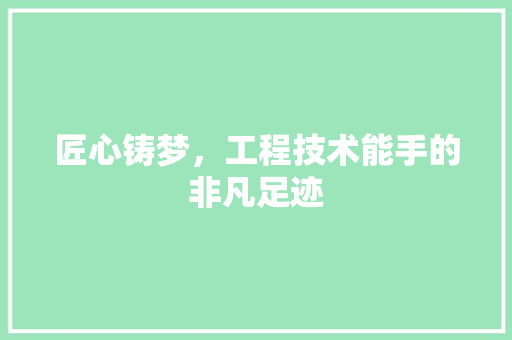匠心铸梦，工程技术能手的非凡足迹