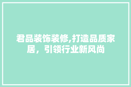 君品装饰装修,打造品质家居，引领行业新风尚 客厅装修