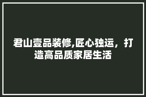 君山壹品装修,匠心独运，打造高品质家居生活 客厅装修