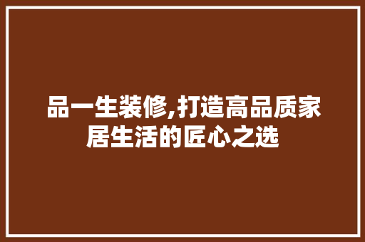 品一生装修,打造高品质家居生活的匠心之选 室内设计