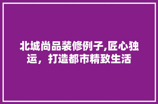 北城尚品装修例子,匠心独运，打造都市精致生活