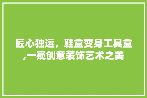 匠心独运，鞋盒变身工具盒,一窥创意装饰艺术之美 家居装修