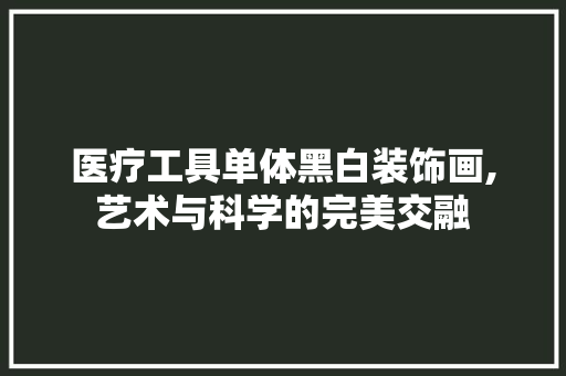 医疗工具单体黑白装饰画,艺术与科学的完美交融