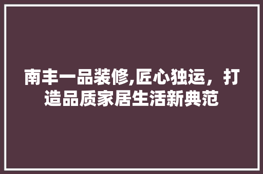 南丰一品装修,匠心独运，打造品质家居生活新典范 木雕艺术