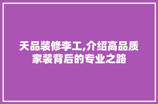 天品装修李工,介绍高品质家装背后的专业之路 现代风格装饰