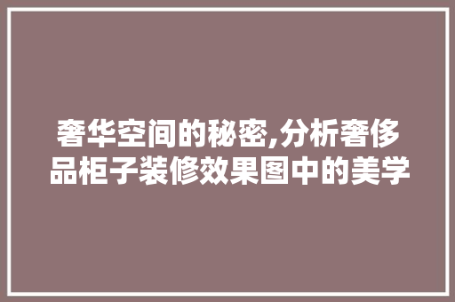 奢华空间的秘密,分析奢侈品柜子装修效果图中的美学精髓 地板材料
