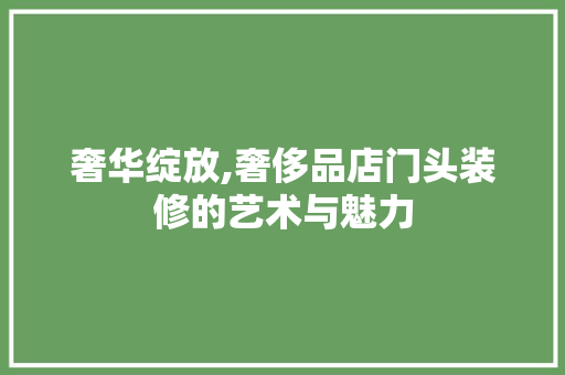 奢华绽放,奢侈品店门头装修的艺术与魅力 中式风格装饰
