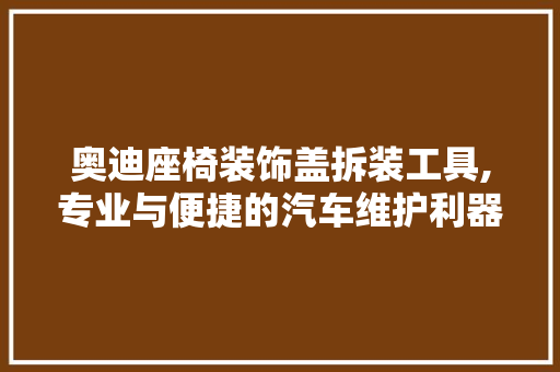 奥迪座椅装饰盖拆装工具,专业与便捷的汽车维护利器 家居装修