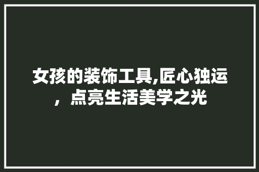 女孩的装饰工具,匠心独运，点亮生活美学之光 家居装修
