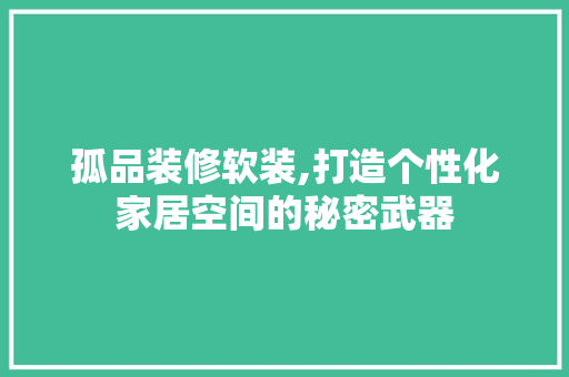 孤品装修软装,打造个性化家居空间的秘密武器 现代风格装饰