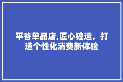 平谷单品店,匠心独运，打造个性化消费新体验