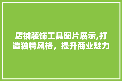 店铺装饰工具图片展示,打造独特风格，提升商业魅力 卧室装修