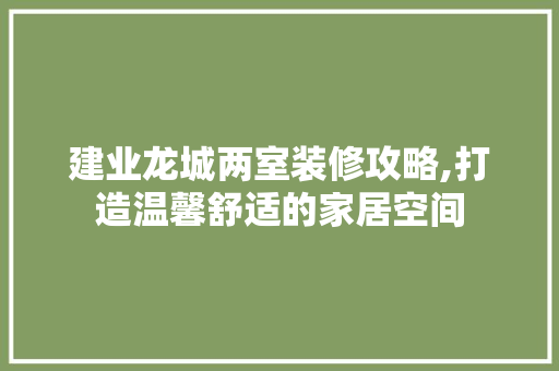 建业龙城两室装修攻略,打造温馨舒适的家居空间 客厅装修