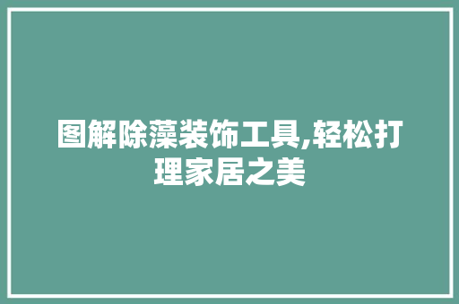 图解除藻装饰工具,轻松打理家居之美 木雕艺术