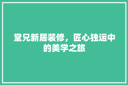 堂兄新居装修，匠心独运中的美学之旅