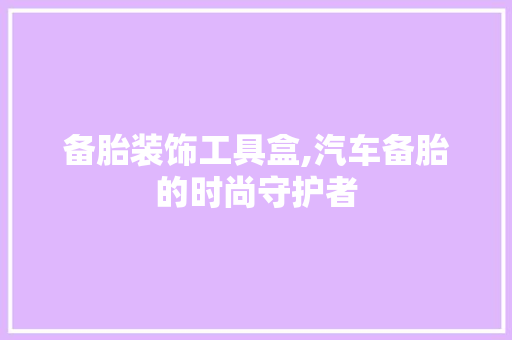 备胎装饰工具盒,汽车备胎的时尚守护者 软装设计