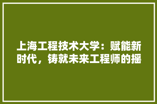 上海工程技术大学：赋能新时代，铸就未来工程师的摇篮 家居装修
