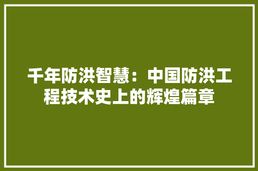 千年防洪智慧：中国防洪工程技术史上的辉煌篇章 家居装修