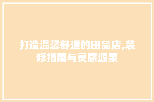 打造温馨舒适的田品店,装修指南与灵感源泉 软装设计